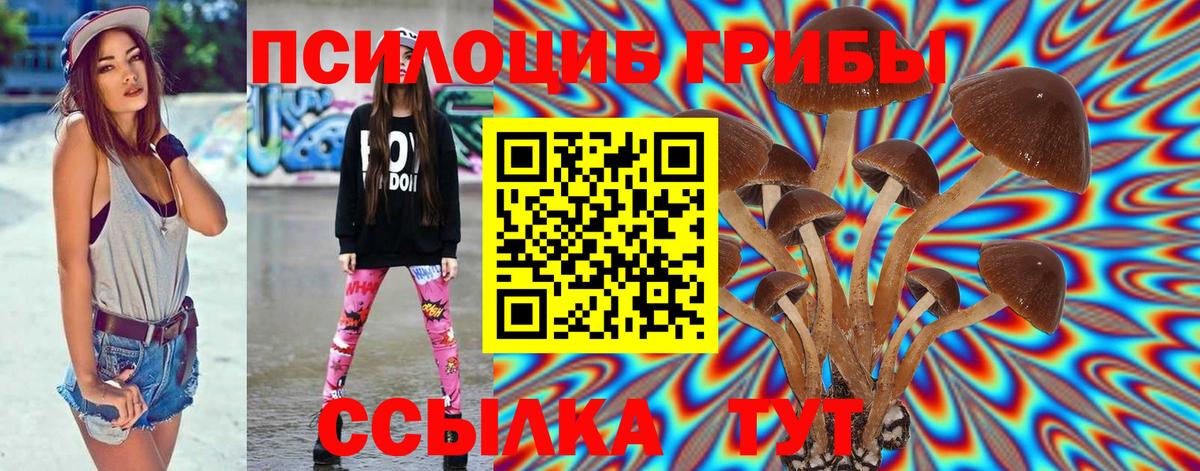 Псилоцибиновые грибы GOLDEN TEACHER Жуковский