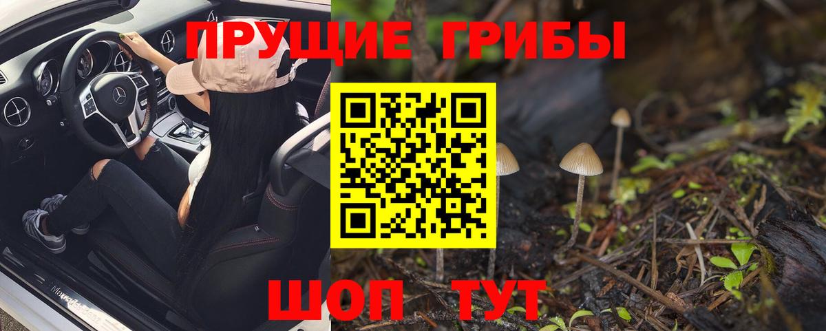 Жуковский  хочу наркоту  Вход с VPN  Псилоцибиновые грибы Psilocybine cubensis 